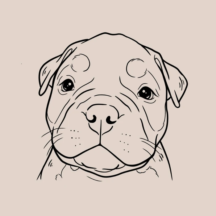 Ilustración lineal personalizada de un bulldog
