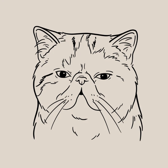 Ilustración lineal personalizada de un gato exótico