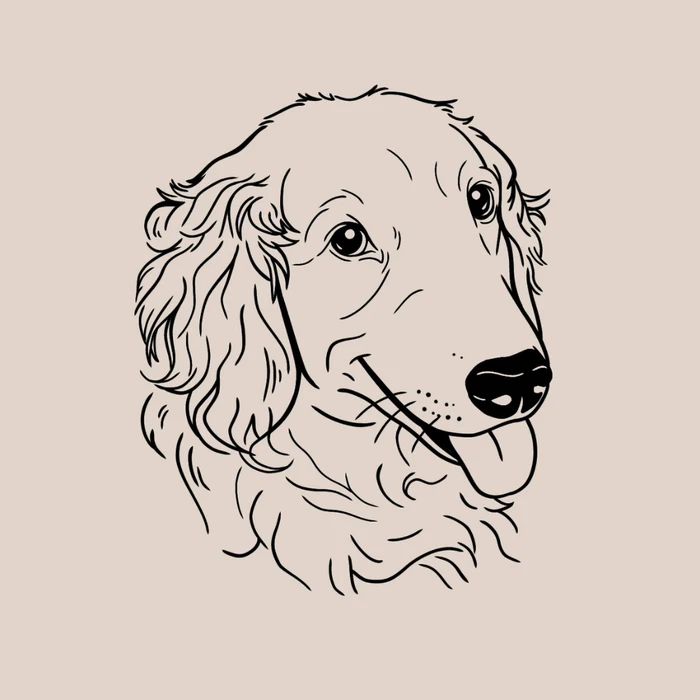 Ilustración lineal personalizada de un golden retriever
