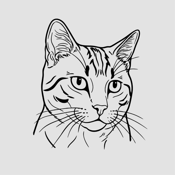 Ilustración lineal personalizada de un gato gris