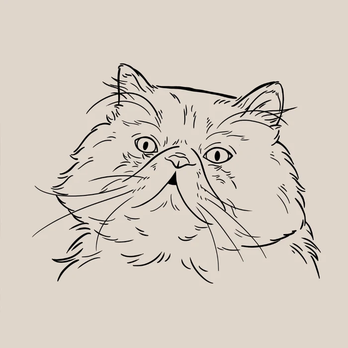 Ilustración lineal personalizada de un gato de pelo largo