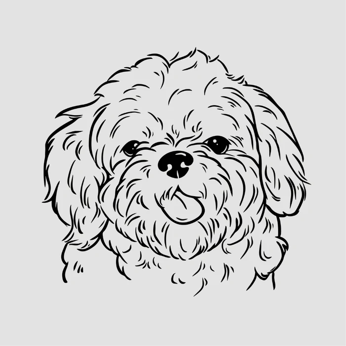 Ilustración lineal personalizada de un shih tzu
